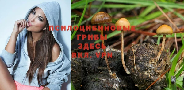 ГАЛЛЮЦИНОГЕННЫЕ ГРИБЫ Алзамай
