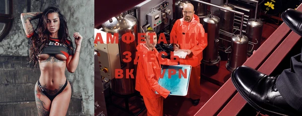 ГАЛЛЮЦИНОГЕННЫЕ ГРИБЫ Алзамай